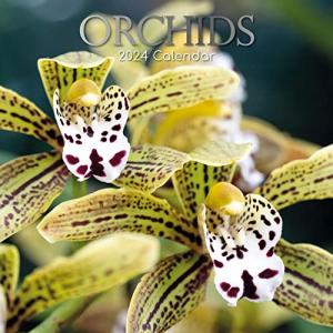 The Gifted Stationery Co Ltd  Orchids 2024 壁掛けカレンダー 【並行輸入】｜runsis-store