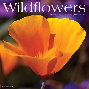 Wildflowers 2024 Calendar 【並行輸入】の商品画像