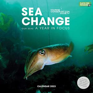 Sea Change Marine Conservation Society Square Wall Calendar 2023 【並行輸入】の商品画像