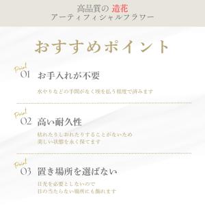 造花 観葉植物 テッセラエ 新築祝い 結婚祝い...の詳細画像2