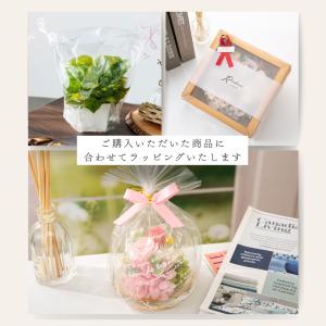 造花 観葉植物 テッセラエ 新築祝い 結婚祝い...の詳細画像5