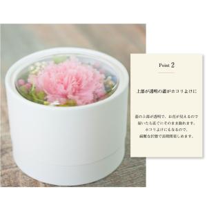 プリザーブドフラワー ギフト 花 アドォーラァ...の詳細画像4