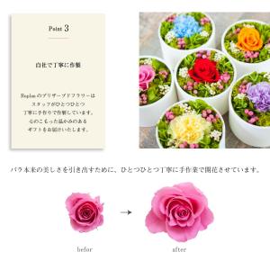 プリザーブドフラワー ギフト 花 アドォーラァ...の詳細画像5