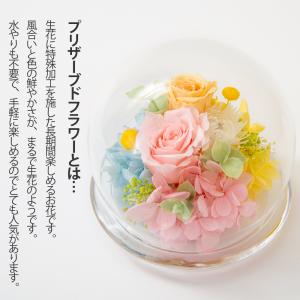 プリザーブドフラワー ガラスドーム 誕生日プレ...の詳細画像2