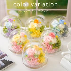 プリザーブドフラワー ガラスドーム 誕生日プレ...の詳細画像3