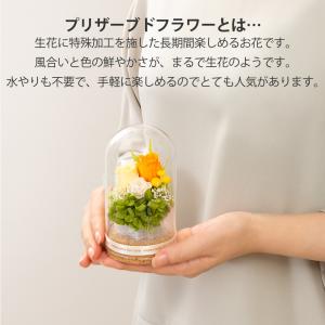 プリザーブドフラワー ギフト ガラスドーム カ...の詳細画像2