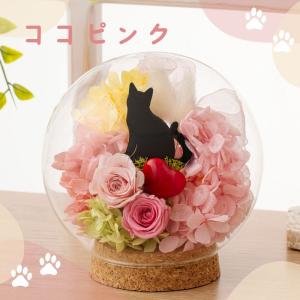 プリザーブドフラワー 猫 雑貨 シャルル バー...の詳細画像4