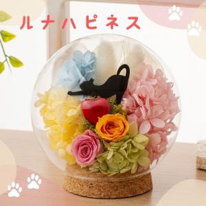 プリザーブドフラワー 猫 雑貨 シャルル バー...の詳細画像5
