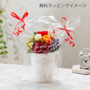 プリザーブドフラワー ギフト 花 リヤン 退職...の詳細画像3