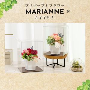 プリザーブドフラワー ギフト 花 マリアンヌ ...の詳細画像2