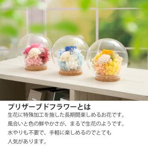 プリザーブドフラワー ギフト 花 マリートヴァ...の詳細画像3