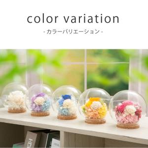 プリザーブドフラワー ギフト 花 マリートヴァ...の詳細画像4