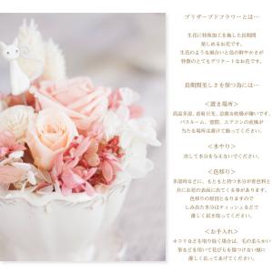 プリザーブドフラワー ギフト 花 ミネット 猫...の詳細画像1