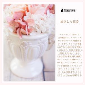 プリザーブドフラワー ギフト 花 ミネット 猫...の詳細画像4