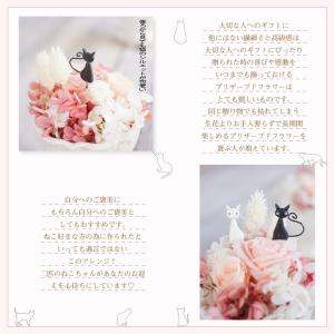 プリザーブドフラワー ギフト 花 ミネット 猫...の詳細画像5