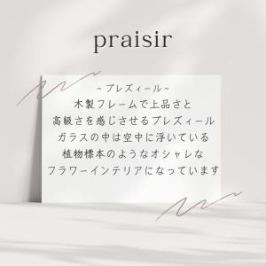 プリザーブドフラワー ギフト 花 プレズィール...の詳細画像1