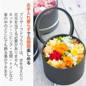 プリザーブドフラワー ギフト 花 ヴィフ ボッ...の詳細画像5
