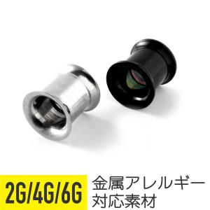 軟骨 ピアス ボディピアス 2g 4g 6g 金属アレルギー対応 ファーストピアス ダブルフレア プラグ シルバー ブラック アイレット