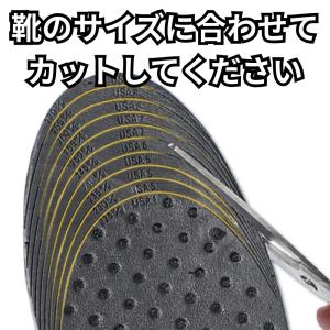 シークレットインソール 6cm 3段階調整 中...の詳細画像1