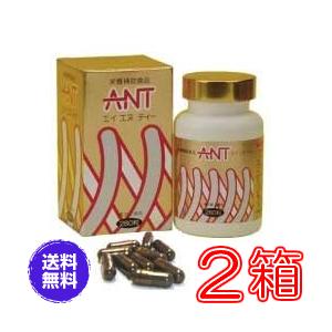ペプIQアップ 150粒 ×お得2箱セット【送料無料】《記憶・思考