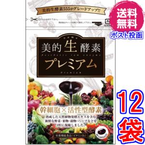 美的生酵素プレミアム ×超お得１２袋 《60カプセル 美的生酵素555がグレードアップ 幹細胞配合 ...