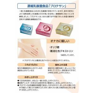 プロテサンR 62包 賞味期限2028年10月...の詳細画像2