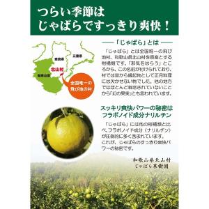 じゃばら 90粒 ×お得2本《花粉、ナリルチン...の詳細画像2