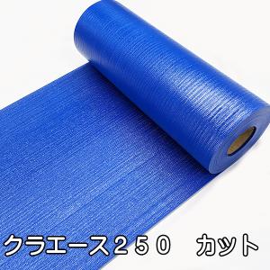 クラエース250 ダンプシート カット 切り売り サニーホース10インチ相当｜rurika-tape