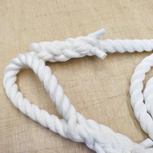 ターザンロープ クレモナロープ 24mmx2m...の詳細画像1
