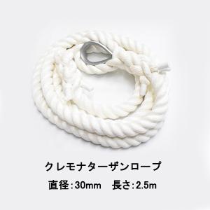 アスレチックネット 1000mmx2000mmx目合250mm 16mmロープ クライミング