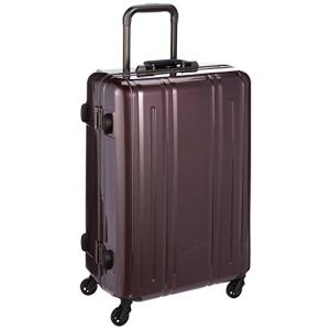 4.4kg 67 cm エバウィン 軽量スーツケース