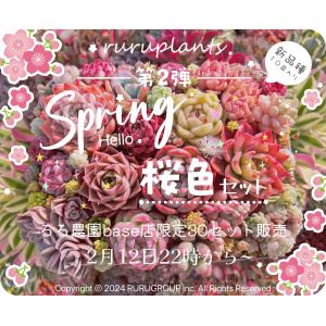第二弾~Happy spring桜色セット(10苗)