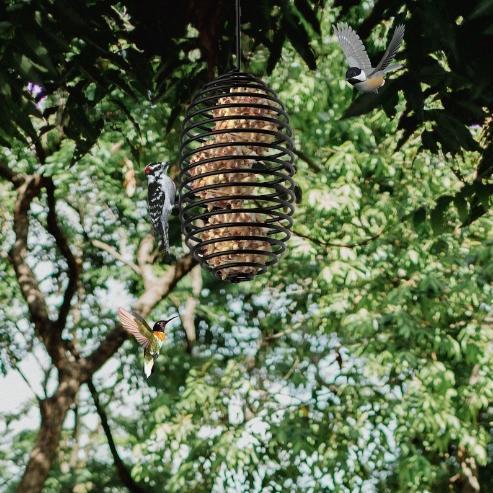 野鳥の餌台 鳥の餌台 ハンギングバードフィーダー 餌やり 掛け式 鳥用 給餌器 鳥の餌入れ 庭 吊り...