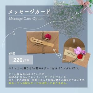 シャネル CHANEL モイスチャー ミスト ...の詳細画像3