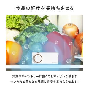 ミニ空気清浄機 オゾン発生器 脱臭 脱臭機 除...の詳細画像4
