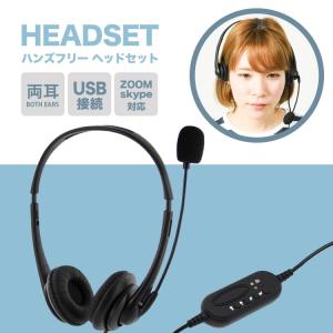 サンワサプライ MM-HSU14ANC ノイズキャンセリングマイク付きUSB サンワサプライ MM-HSU14ANC ノイズキャンセリングマイク付きUSB