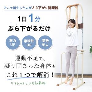 ぶら下がり健康器 コンパクト リハビリ 高齢者...の詳細画像2
