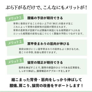 ぶら下がり健康器 コンパクト リハビリ 高齢者...の詳細画像3