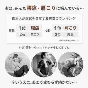 ぶら下がり健康器 コンパクト 腰痛 効果 懸垂...の詳細画像1