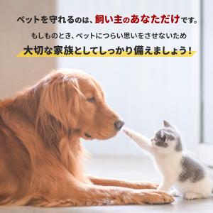 防災バッグ ペット用 防災セット 猫 犬 ショ...の詳細画像2