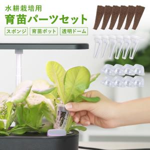 水耕栽培キット 交換パーツ スポンジ60個 育苗ポット 透明ドーム付き 室内菜園 ハーブ 野菜 苗 発芽 育成 家庭菜園 キッチン菜園 清潔 繰り返し使える