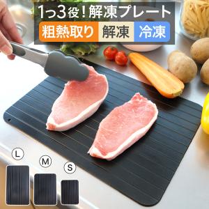 解凍プレート 急速解凍 解凍用プレート 業務用 粗熱取り 急速冷凍 肉 魚 冷凍食品 多機能 時間短縮 便利グッズ キッチン用品｜ラッシュモール