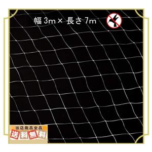 防鳥 ネット ベランダ 幅3m長さ7m 防鳥網 透明色 鳥よ