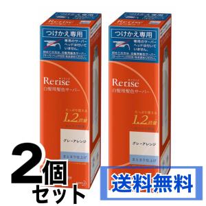 リライズ 白髪用髪色サーバー グレーアレンジ まとまり仕上げ 付け替え専用 190g 2個セット 花王
