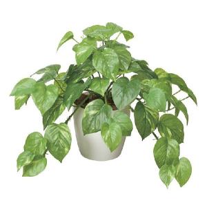 ポイント10倍 アートグリーン 人工観葉植物 光触媒 限定特価 光の楽園 フレッシュポトス