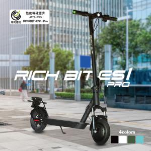 RICH BIT 電動アシスト自転車 RICHBIT CITY ASSIST 型式認定 14インチ