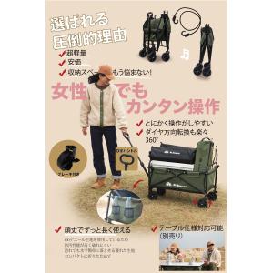 Mr.Nomads キャリーワゴン キャリーカ...の詳細画像3