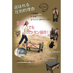 Mr.Nomads キャリーワゴン キャリーカ...の詳細画像5