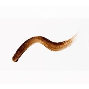 Fujiko フジコ 眉ティント ADV 01...の詳細画像1