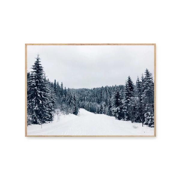 Coco Lapine Design　ポスター/アートプリント　50×70cm　Winter Won...